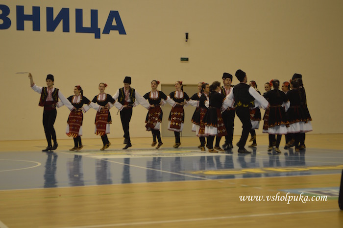 shkola v shopluka