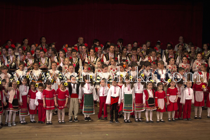 concert v shopluka