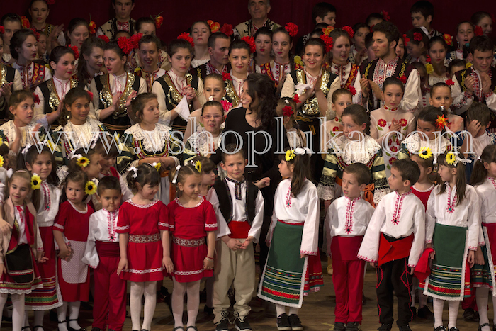 concert v shopluka